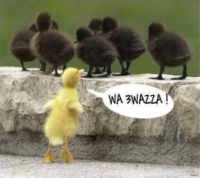waza