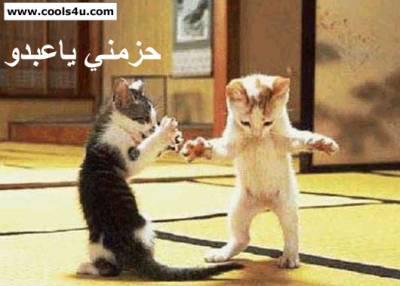 hiiiiiiiiiiiiiiiiiiiiiii