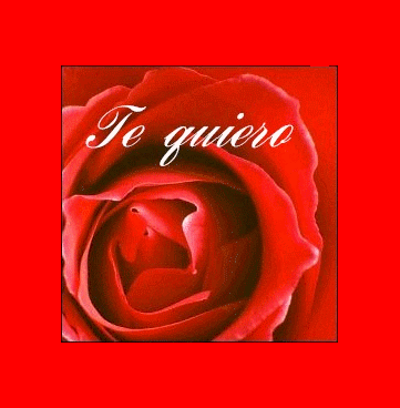 les fleur son joli